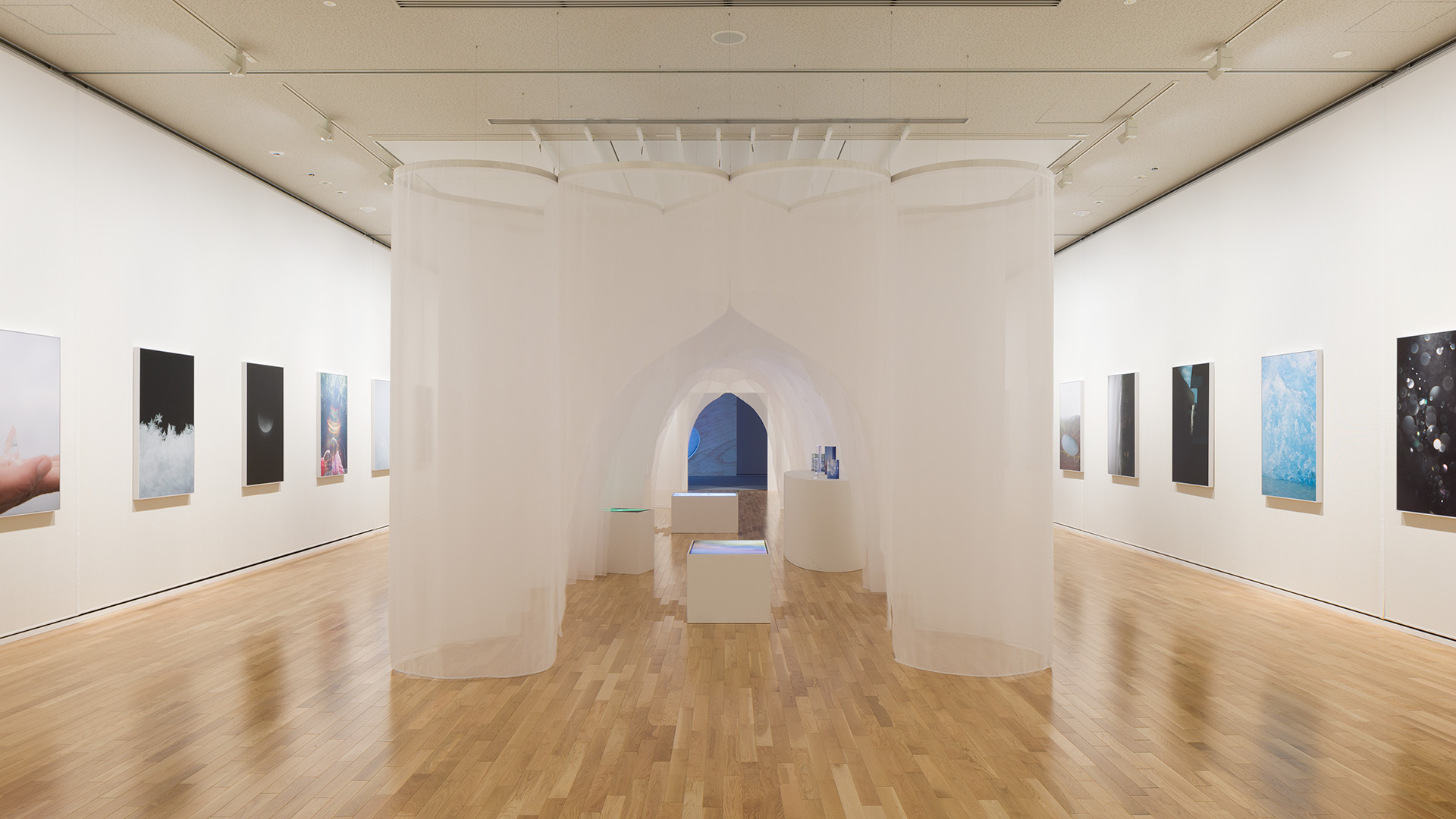 Rinko Kawauchi: M/E | On this sphere – Endlessly interlinking, Shiga Museum of Art, 2023