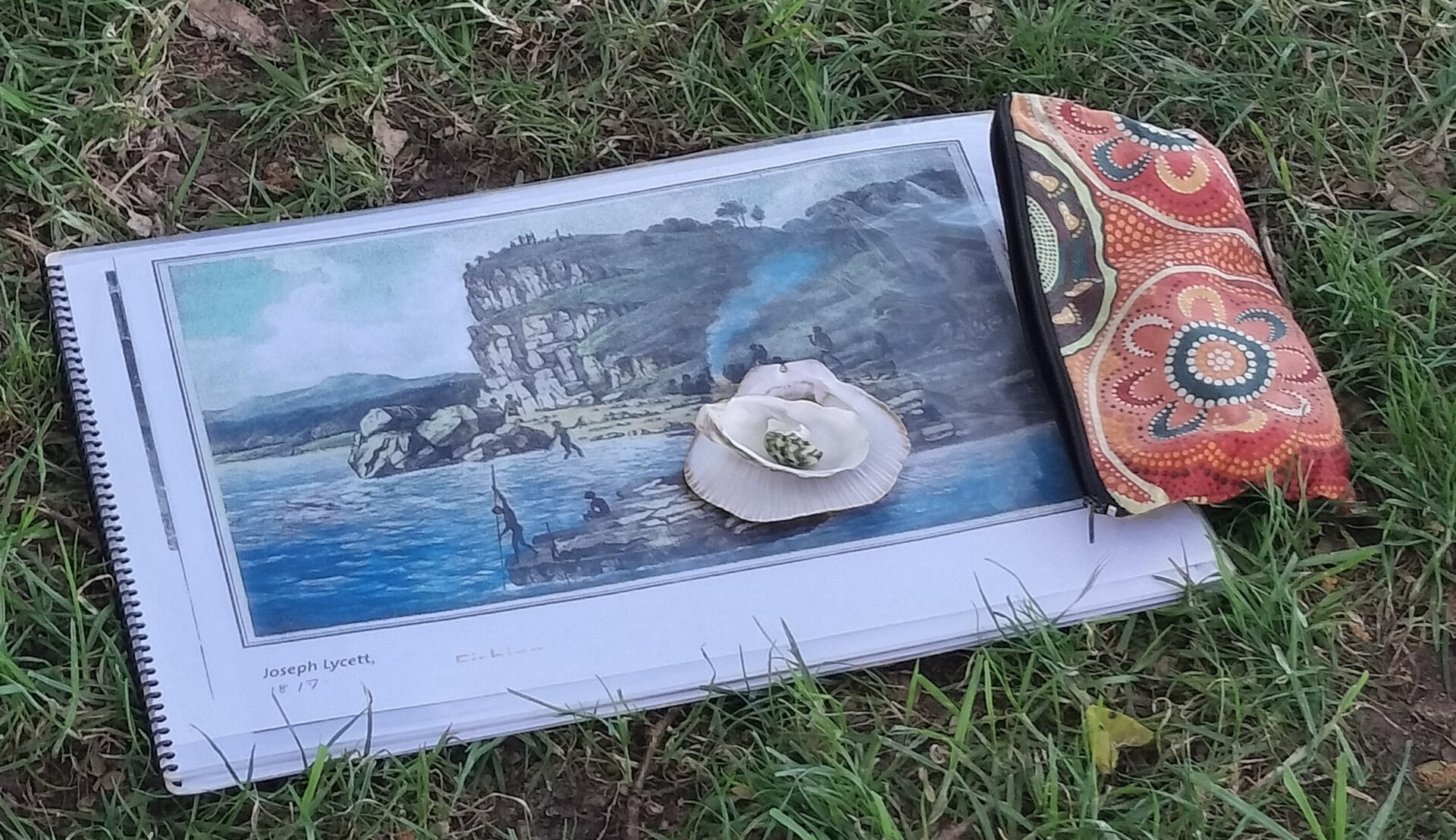 An illustration of Sydney's historic coastline with a stack of seashells