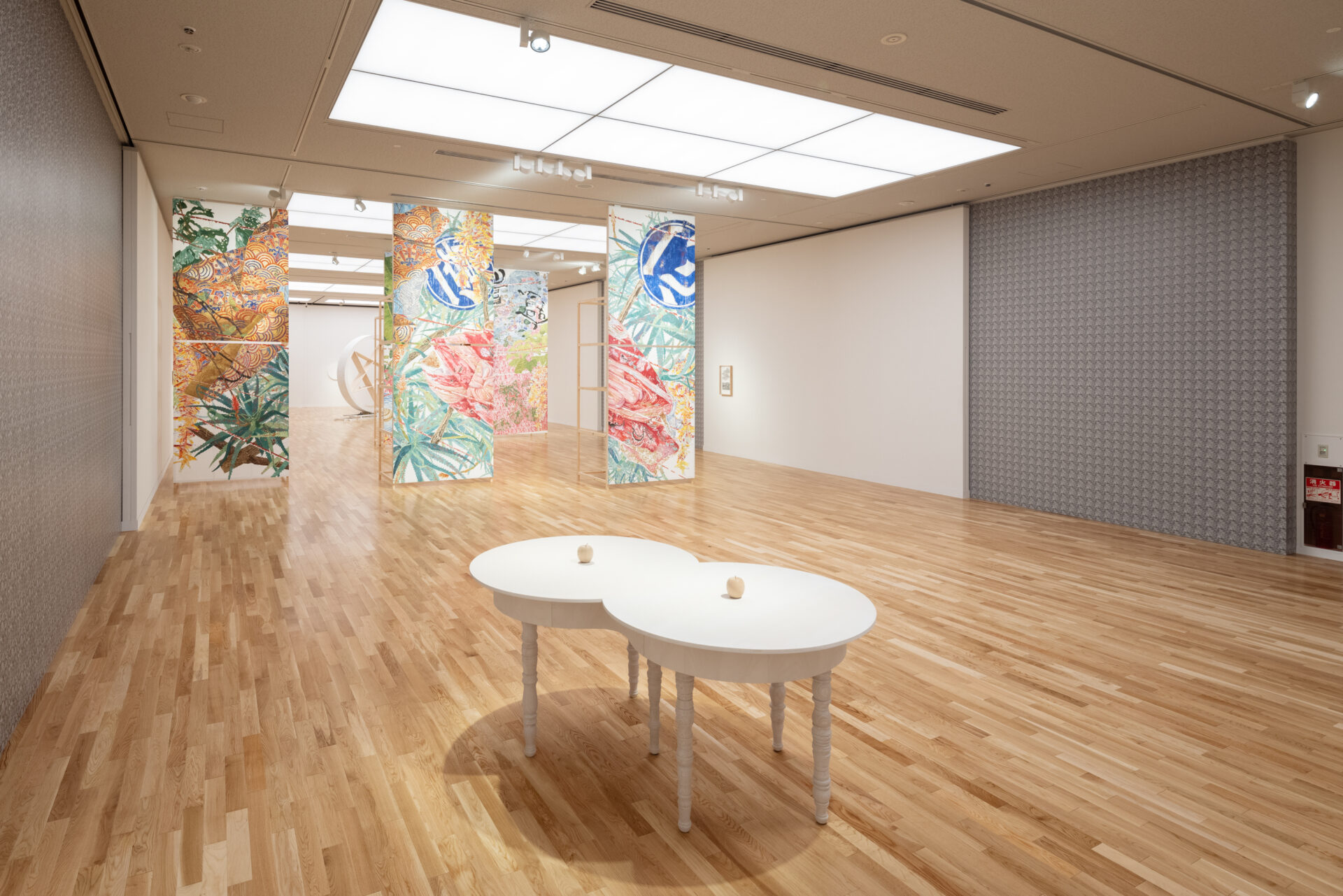 Shiga Museum of Art Reopening Memorial Exhibition | Soft Territory – Lights of Connection, Shiga Museum of Art, 2021