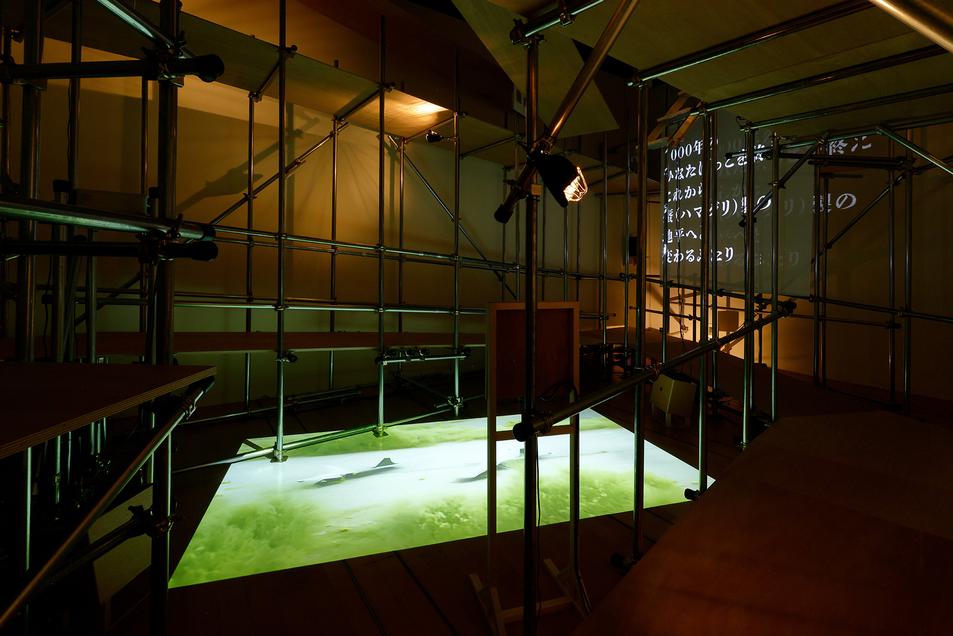 Land Registry, Aoyagi Natsumi + Hosoi Miyu, NTT InterCommunication Center (ICC), 2024