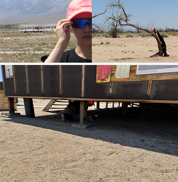 MES ロサンゼルス滞在記 「6月の現状」